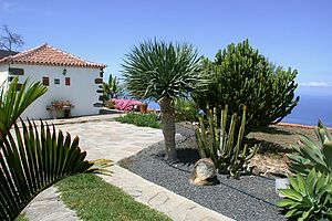 Ferienhaus Casa La Capellana, Tijarafe, La Palma